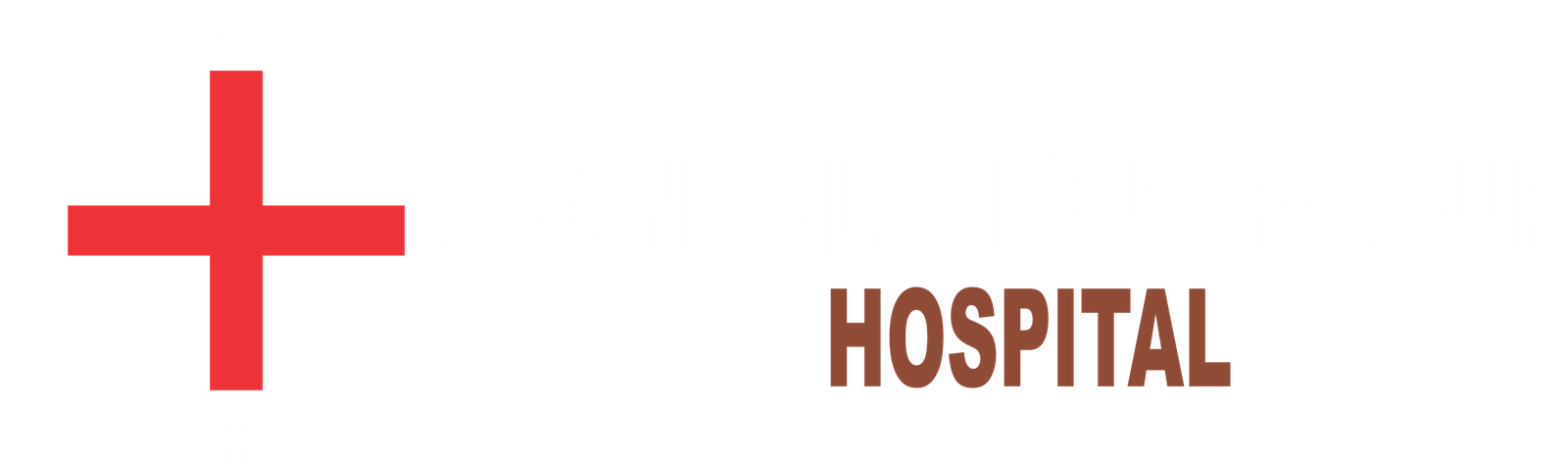 Saint Glorious Favour Hospital